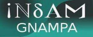 INdAM_GNAMPA_logo.jpg